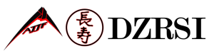 DZRSI Courses